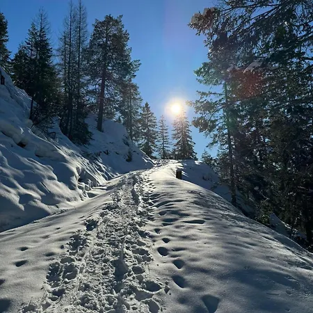 Alpenlandhaus Menardi מלון דירות