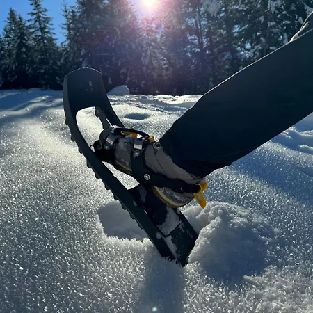 Lägenhetshotell Alpenlandhaus Menardi Seefeld in Tirol