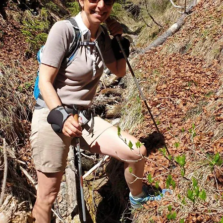 Alpenlandhaus Menardi מלון דירות