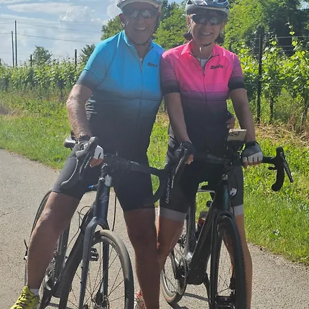 Alpenlandhaus Menardi 4*