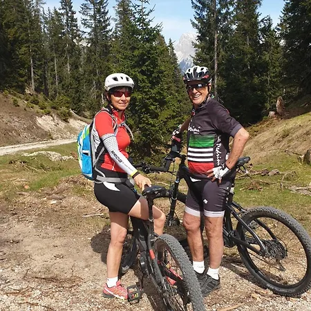 Alpenlandhaus Menardi מלון דירות