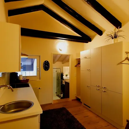 Alpenlandhaus Menardi מלון דירות 4*