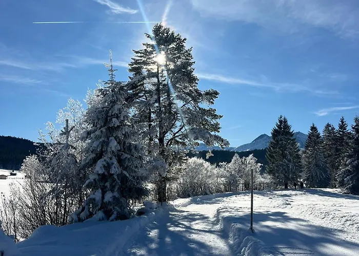 Aparthotel Alpenlandhaus Menardi 4*