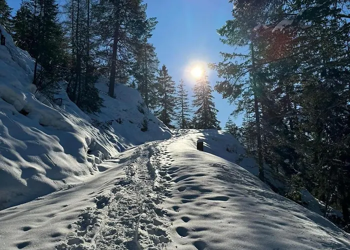 Alpenlandhaus Menardi Aparthotel