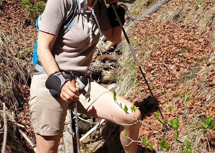 Alpenlandhaus Menardi Aparthotel